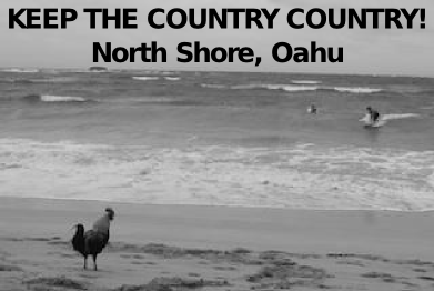 NorthShore_T-shirt1.png