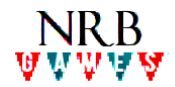 nrb 3.PNG