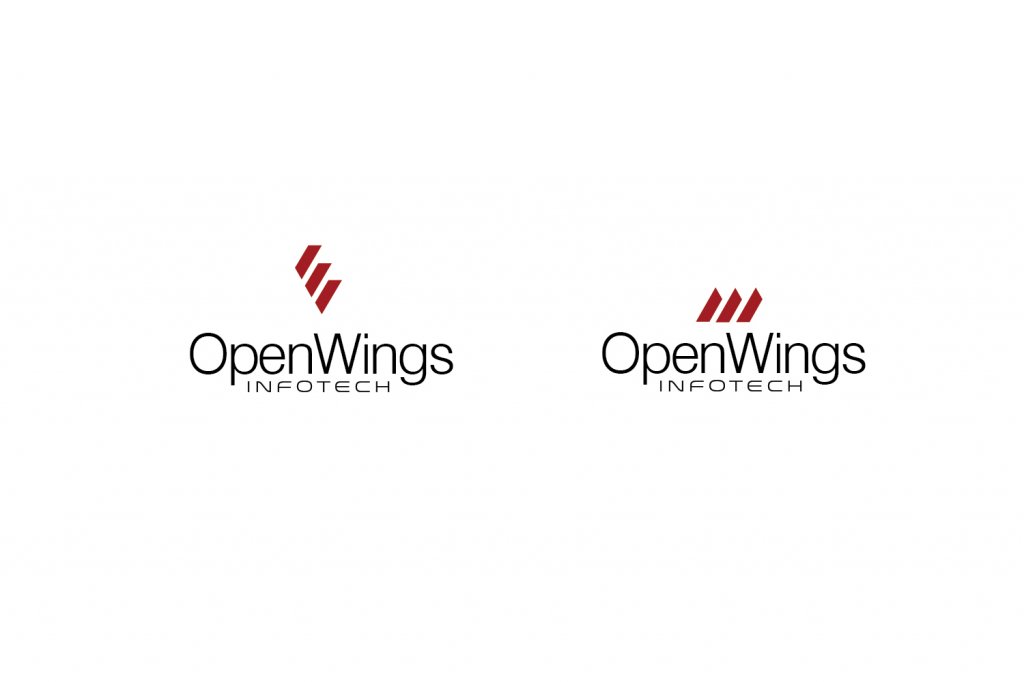 OPEN WINGS2.jpg