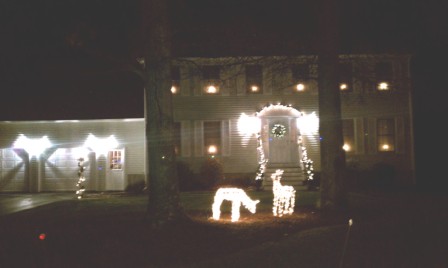 outside compressed.jpg