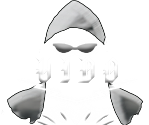 P1c.png