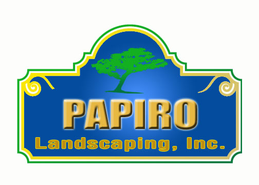papiro copy.jpg
