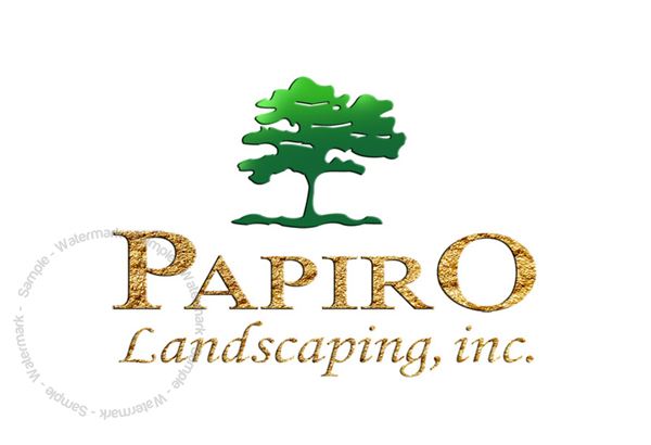 papiro4.jpg
