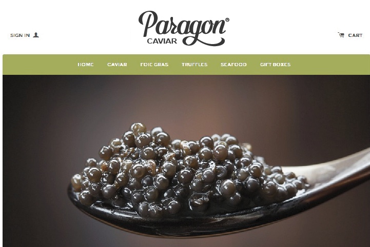 paragon web 1.jpg