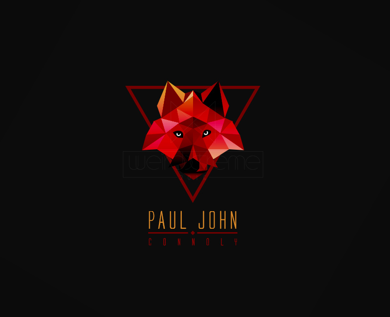 Paul john connoly.jpg