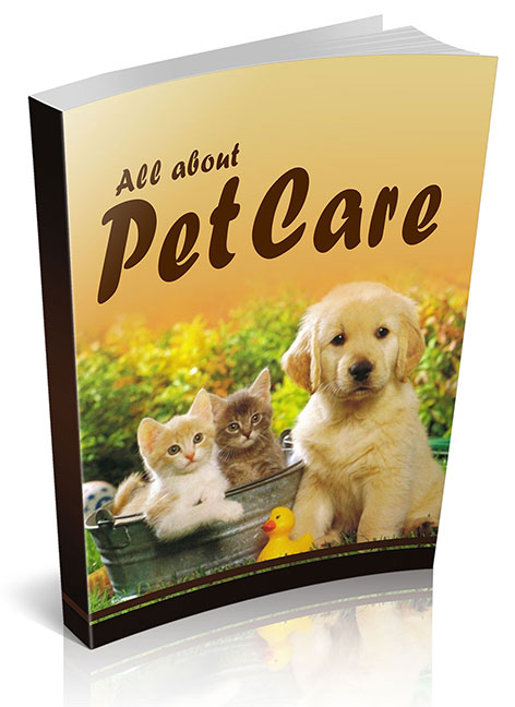 petcare.jpg