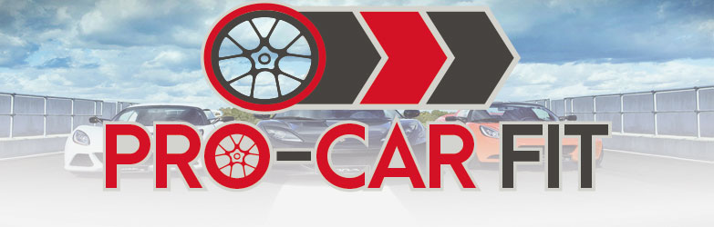 procarfit.jpg
