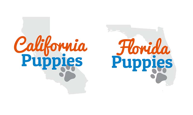 pups.jpg