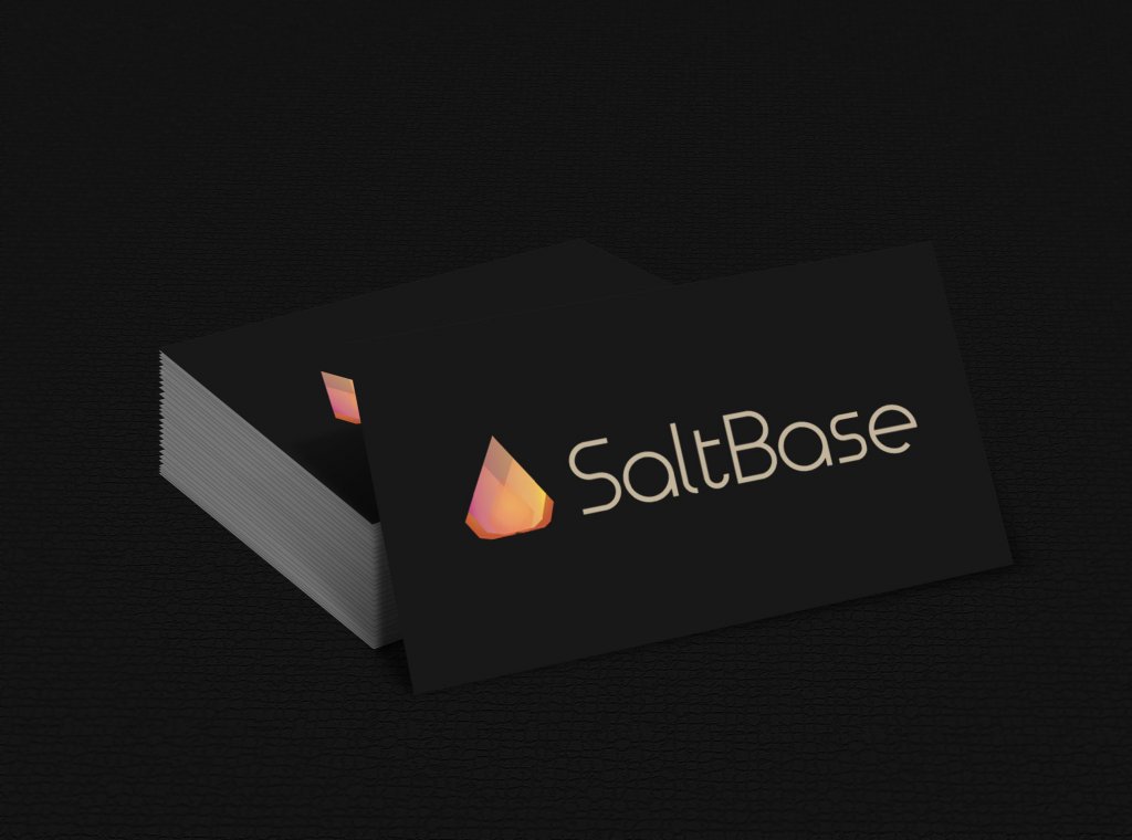 saltbase2-2.jpg