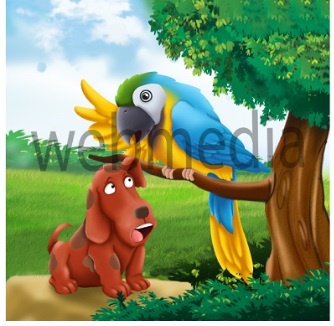 sample -4.jpg