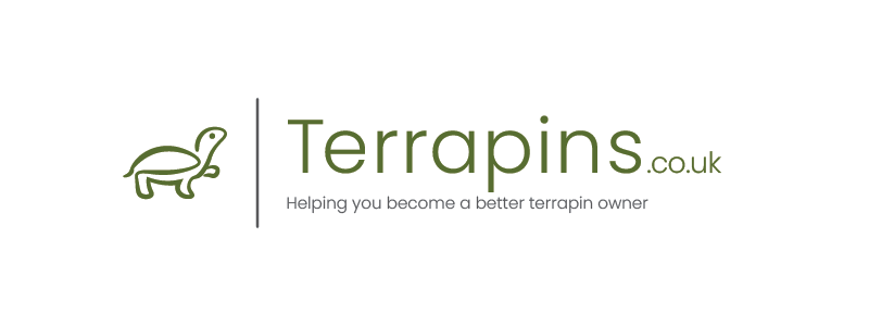 sample_terrapin.png