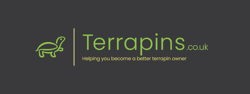sample_terrapin2.png