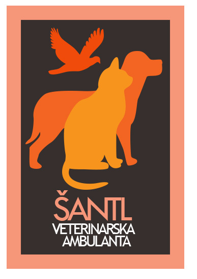 SANTL.jpg