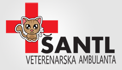 santl.png