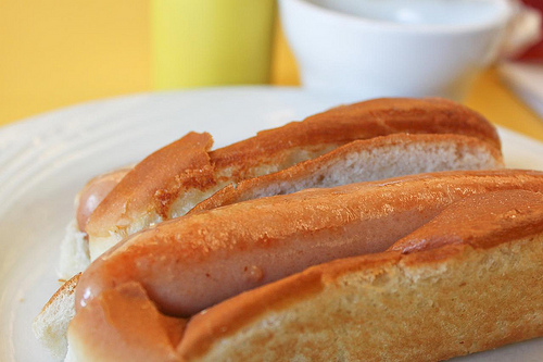 saugy-dogs.jpg