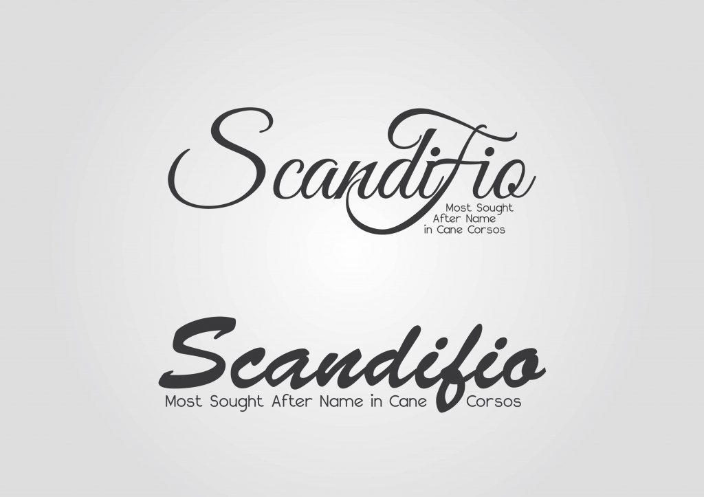 scandifio-01.jpg