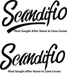 scandifio.png