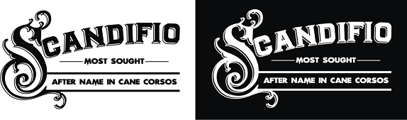 scandifio.png