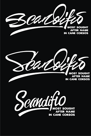 scandifio2.png