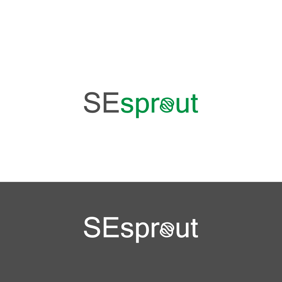 se3.gif