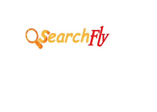 searchfly copy.jpg