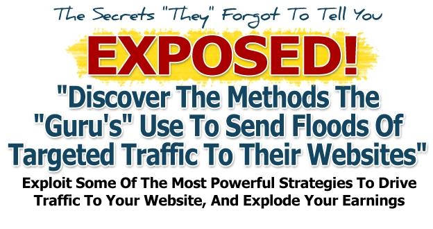 Secret Free Traffic System Banks 16k in 4 days.jpg