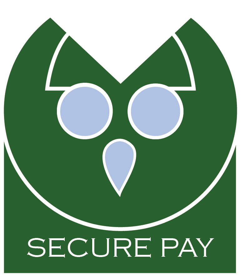 SECURE PAY.png