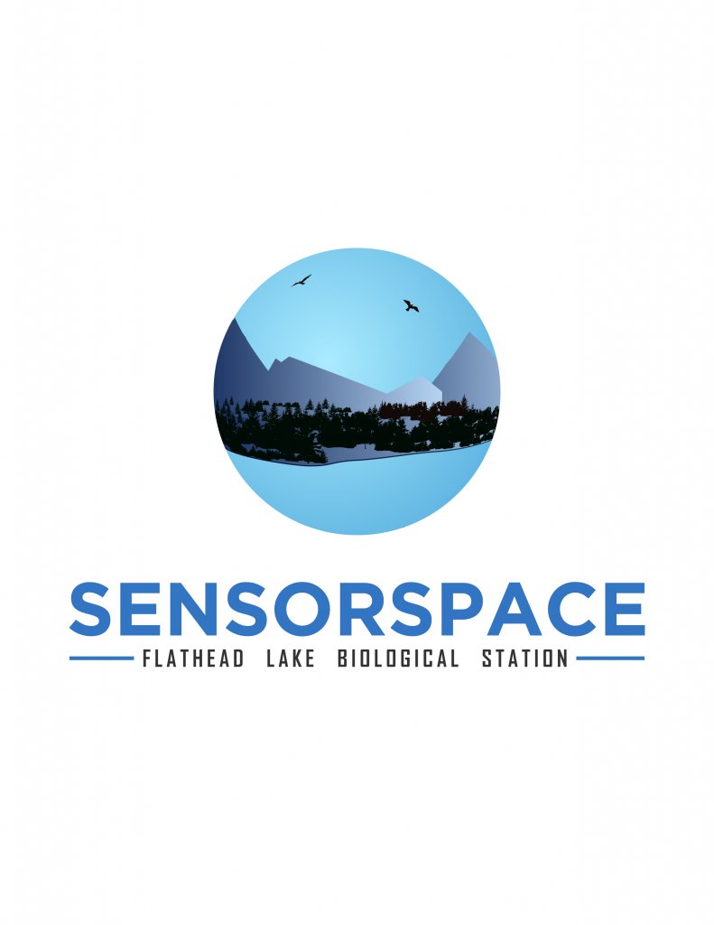 sensor space logo.jpg