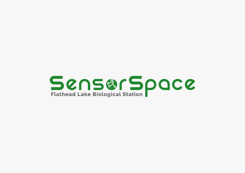 sensorspace.jpg