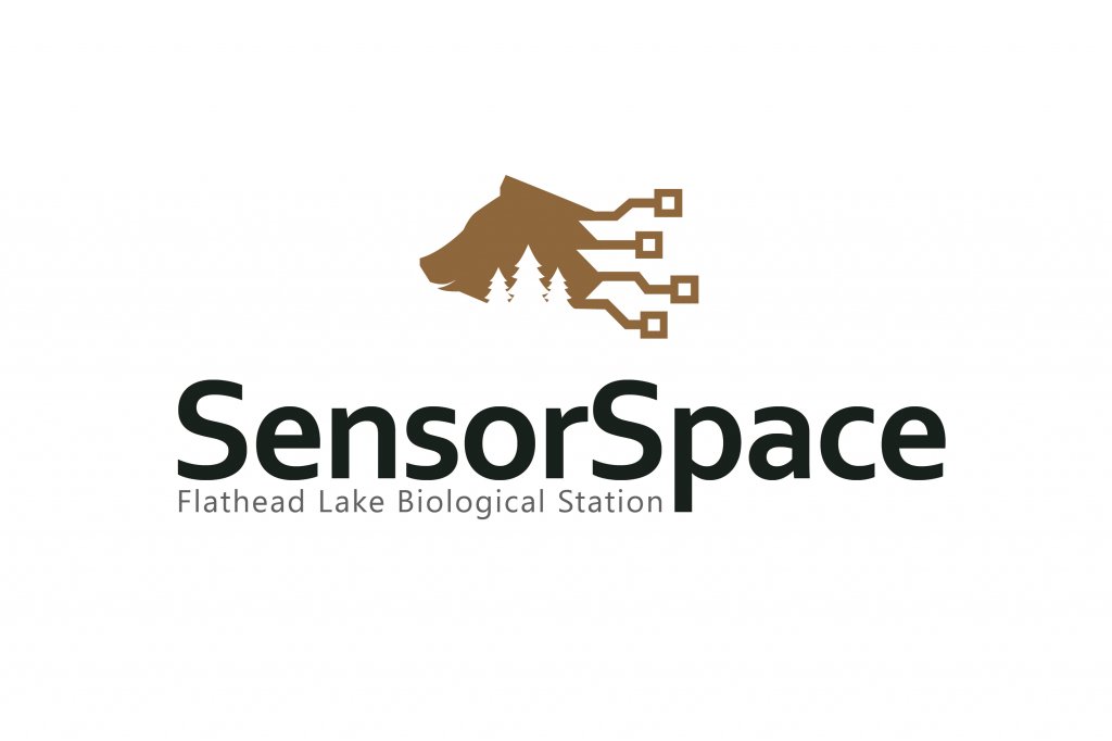 sensorspace.jpg