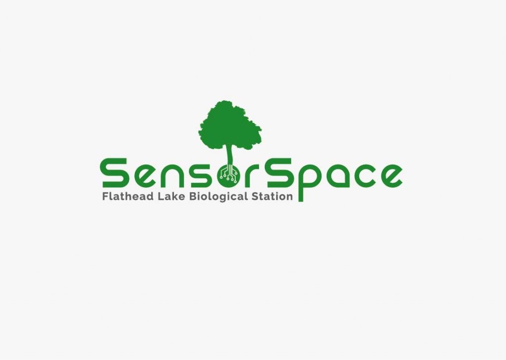 SensorSpace2.jpg