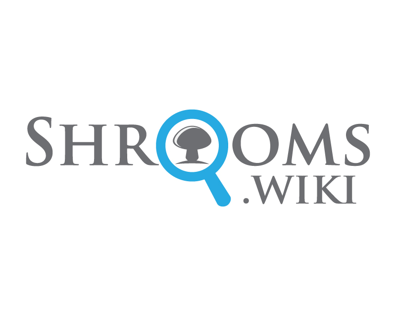 shrooms.jpg