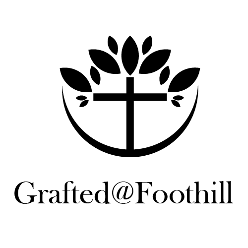 ss2.png