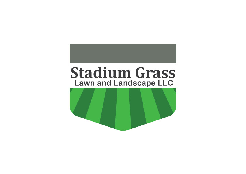 STADIUM-GRASS.jpg