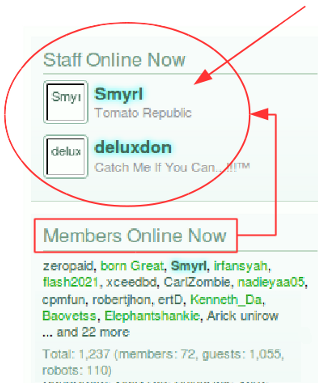 staff online.png