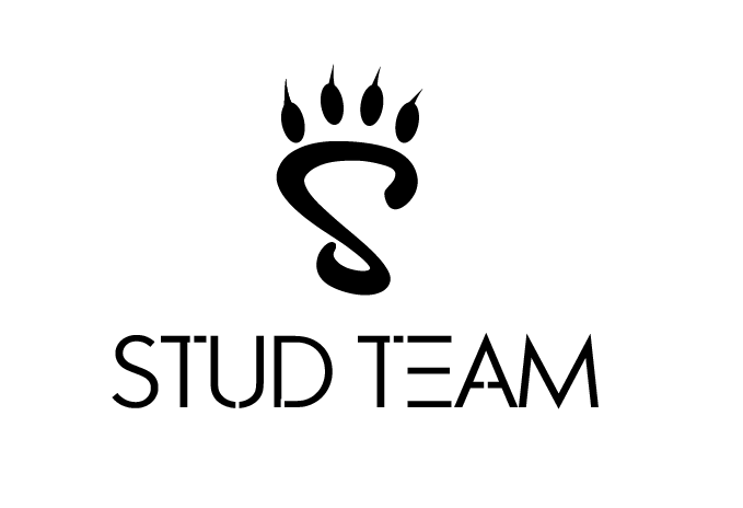 std2.png