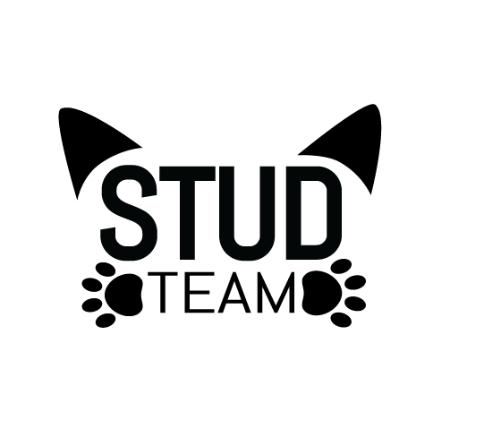 stt.png