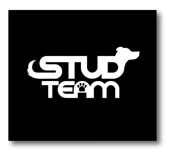 stt2.png