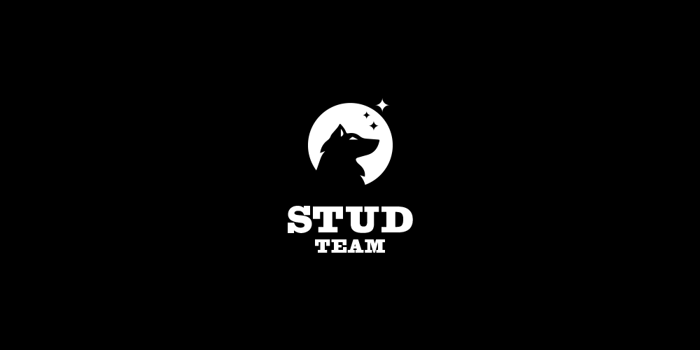 studteam 2.png