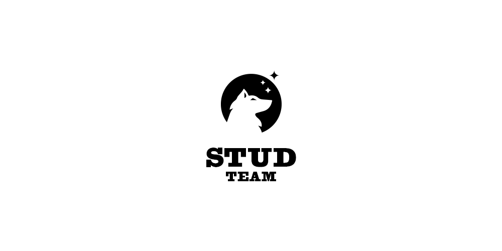 studteam.png