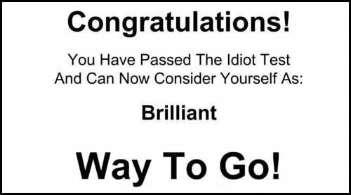 The Idiot Test - Final Screen.jpg