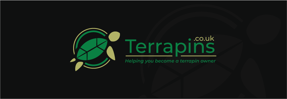TP-02.png