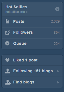 tumblr-details.PNG
