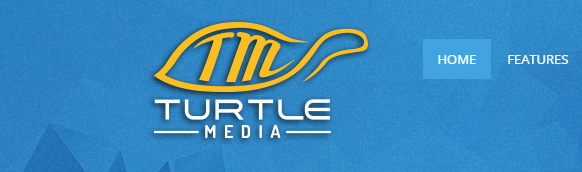 Turtle_Media_001.jpg