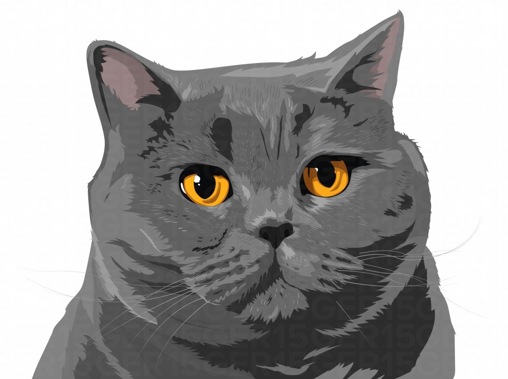 VECTOR-CAT.jpg