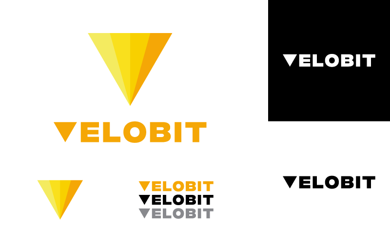 VELOBIT.png