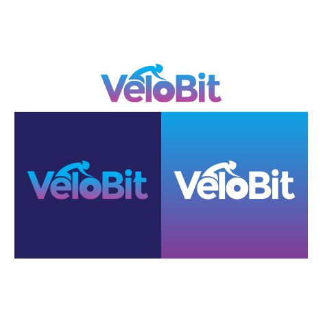 Velobit4.jpg