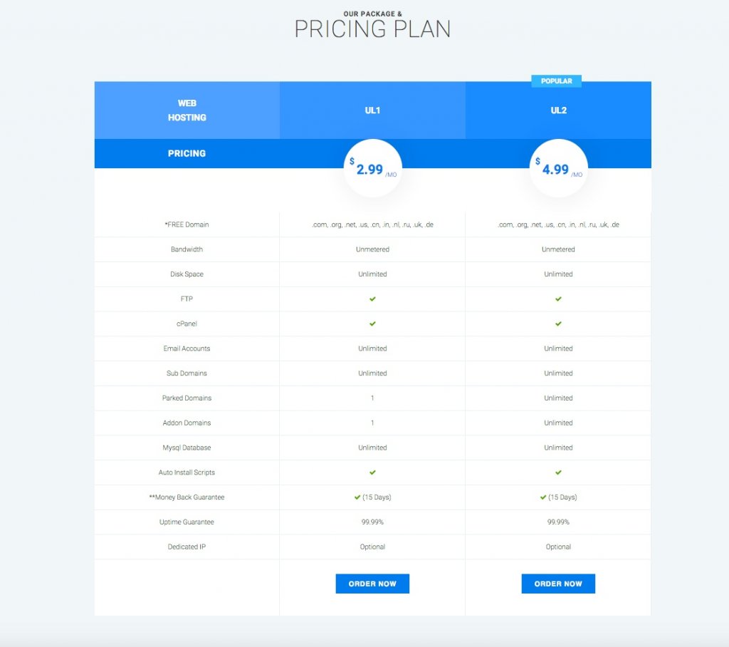 web hosting.jpg