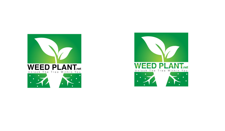 weed-plant.jpg