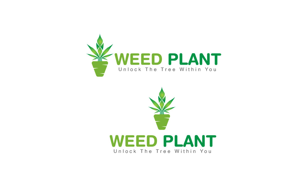 weed-plant.jpg